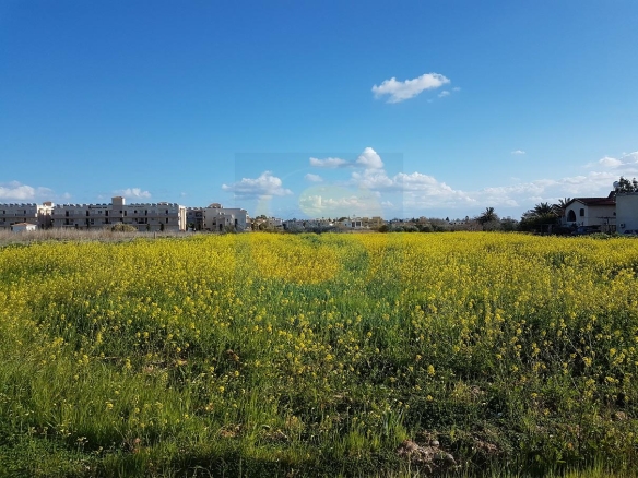Plot of Land for Investment – Ref. SUN1037
